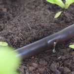 Lợi ích của hệ thống tưới tự động trong đời sống và sản xuất